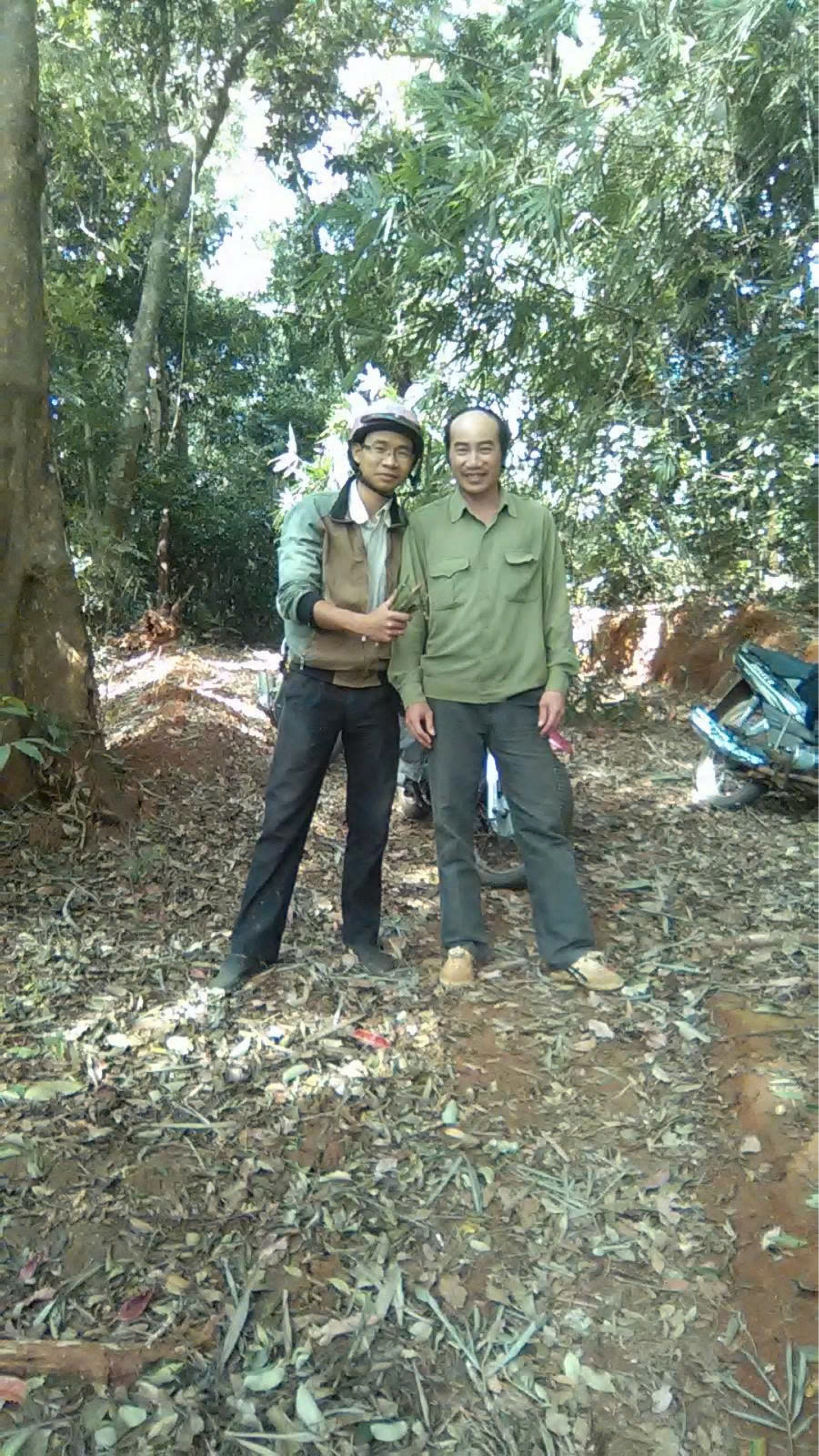 DỰ ÁN KIỂM KÊ RỪNG TẠI BQL RỪNG PHÒNG HỘ NAM CÁT TIÊN, RỪNG PHÒNG HỘ VÀNH ĐAI BIÊN GIỚI, RỪNG PHÒNG HỘ ĐẮK GLONG - GIA NGHĨA...